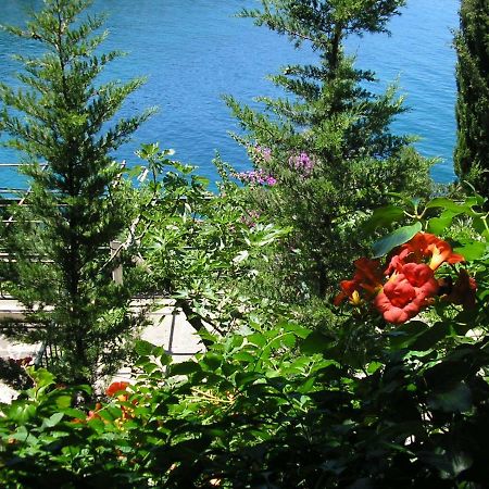 Apartments Mercep Dubrovnik Ngoại thất bức ảnh